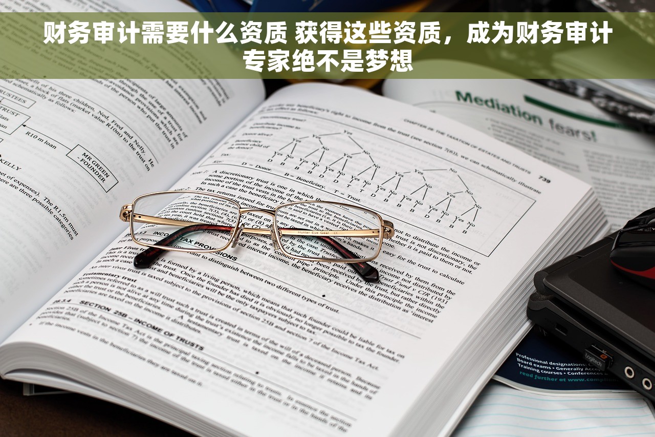 财务审计需要什么资质 获得这些资质，成为财务审计专家绝不是梦想