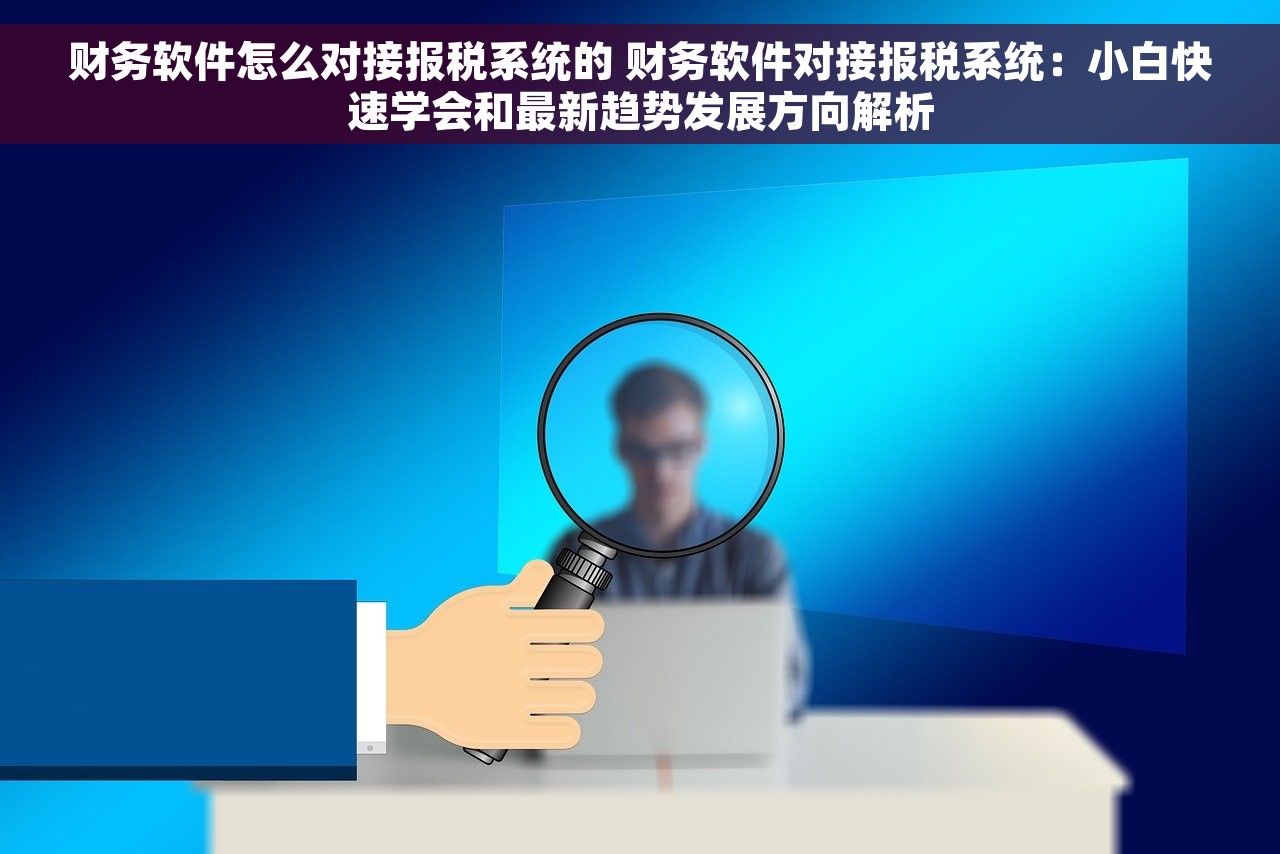 财务软件怎么对接报税系统的 财务软件对接报税系统：小白快速学会和最新趋势发展方向解析
