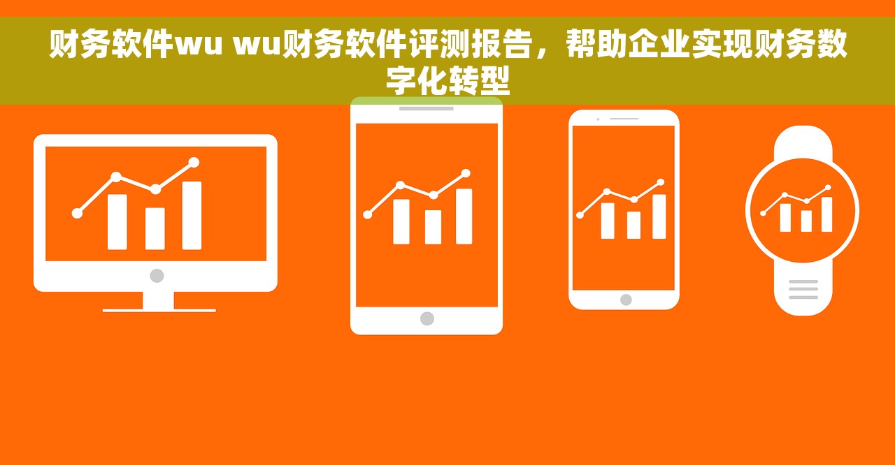 财务软件wu wu财务软件评测报告，帮助企业实现财务数字化转型