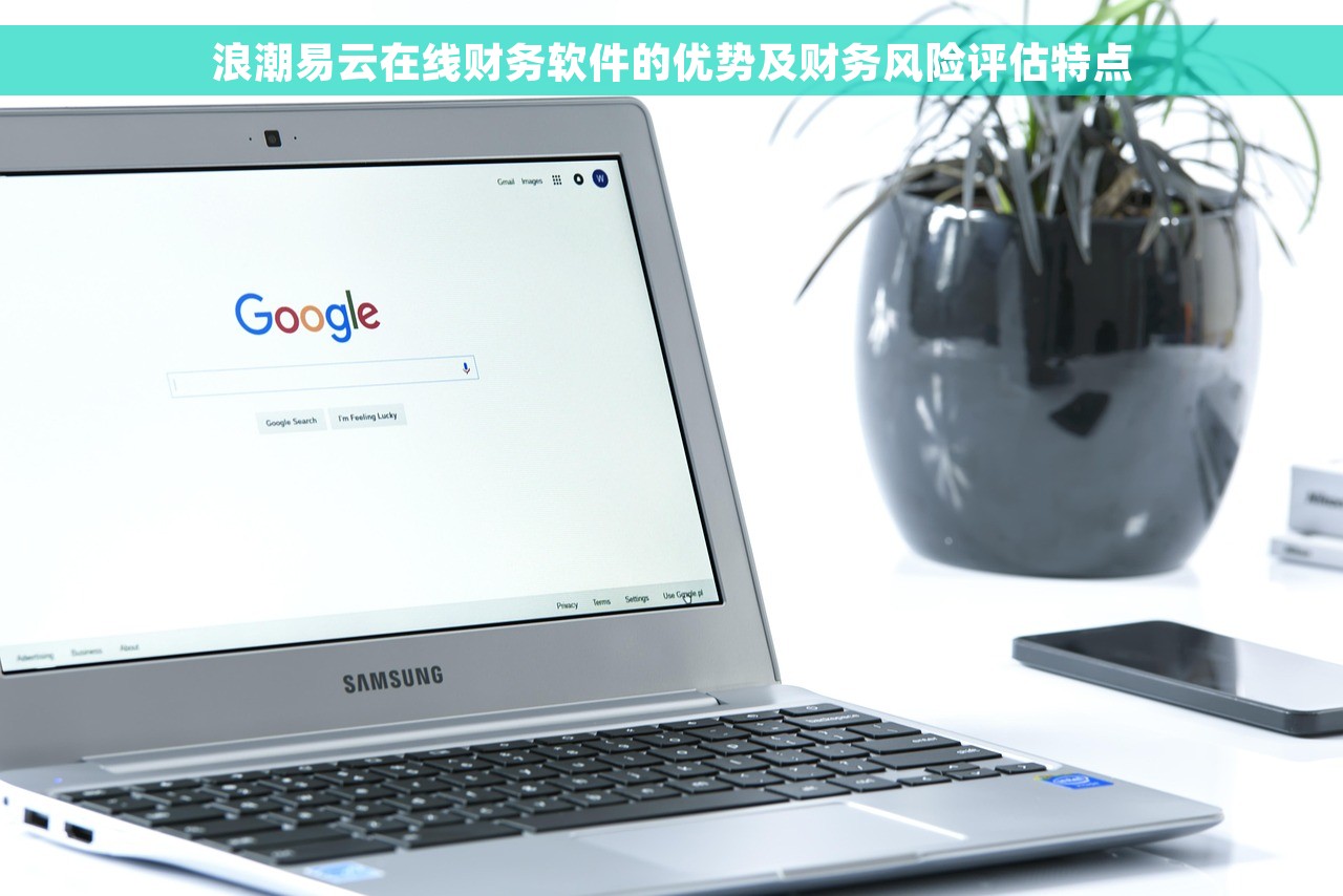 浪潮易云在线财务软件的优势及财务风险评估特点