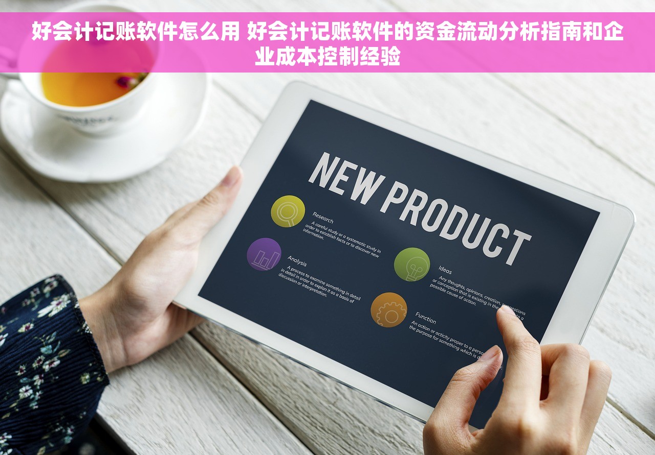 好会计记账软件怎么用 好会计记账软件的资金流动分析指南和企业成本控制经验