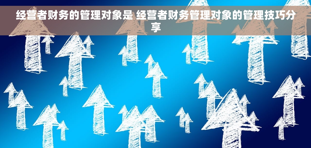 经营者财务的管理对象是 经营者财务管理对象的管理技巧分享