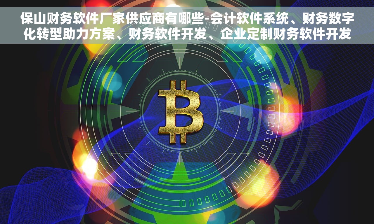 保山财务软件厂家供应商有哪些-会计软件系统、财务数字化转型助力方案、财务软件开发、企业定制财务软件开发及实践经验分享