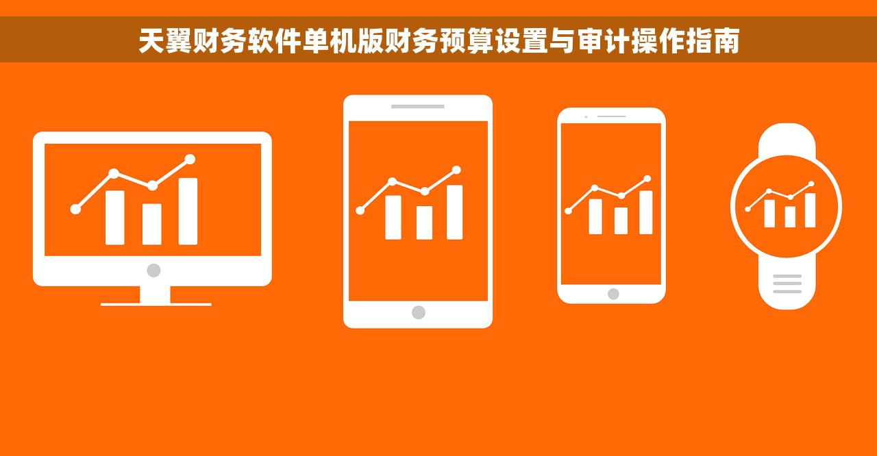 天翼财务软件单机版财务预算设置与审计操作指南