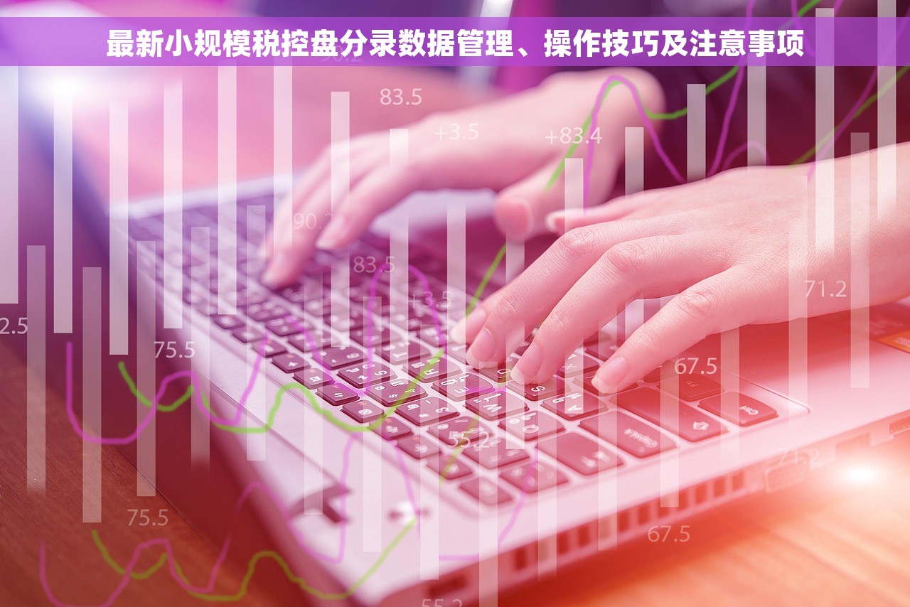 最新小规模税控盘分录数据管理、操作技巧及注意事项