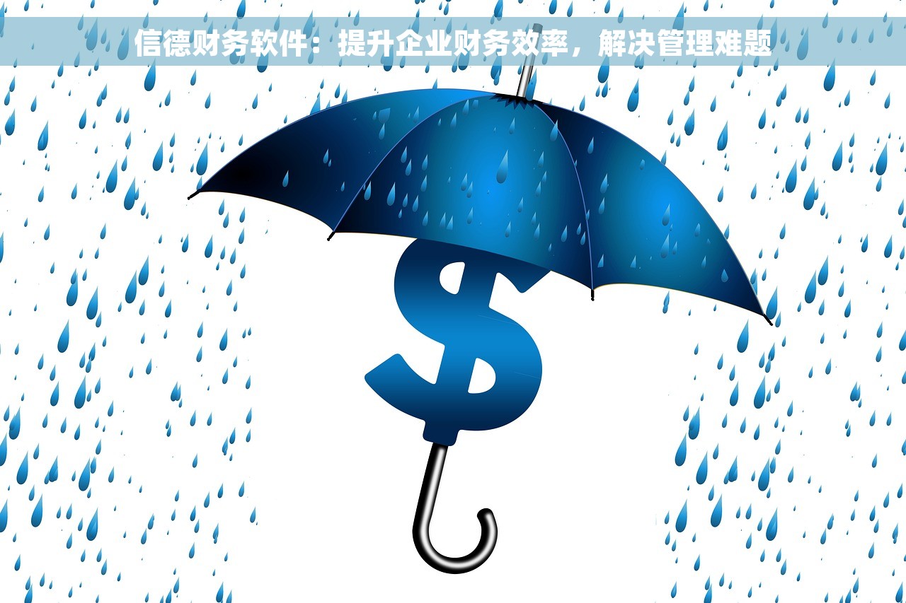 信德财务软件：提升企业财务效率，解决管理难题