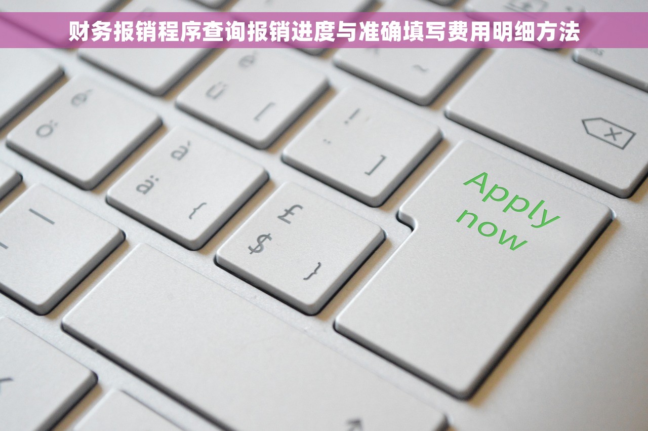 财务报销程序查询报销进度与准确填写费用明细方法