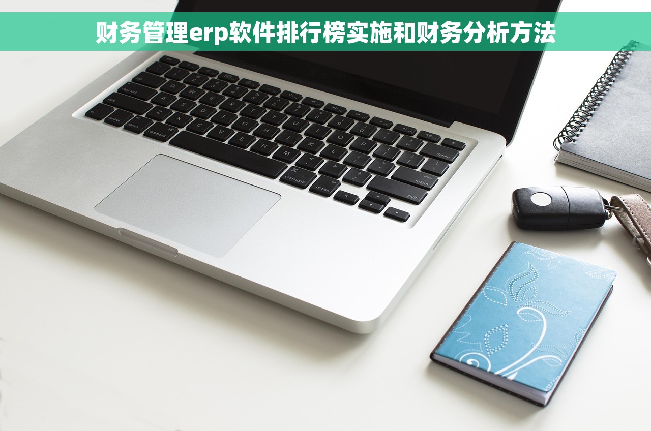 财务管理erp软件排行榜实施和财务分析方法