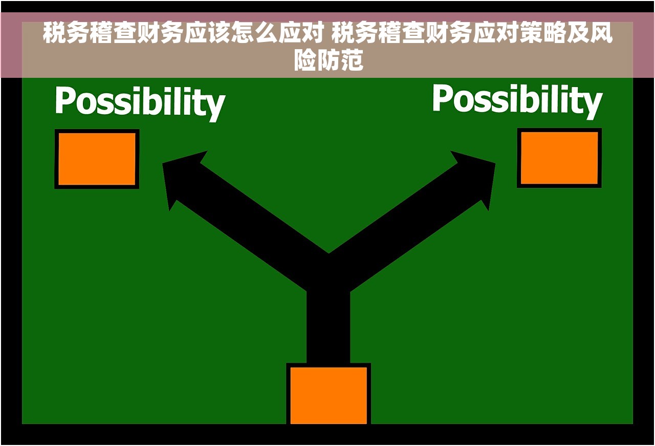 税务稽查财务应该怎么应对 税务稽查财务应对策略及风险防范