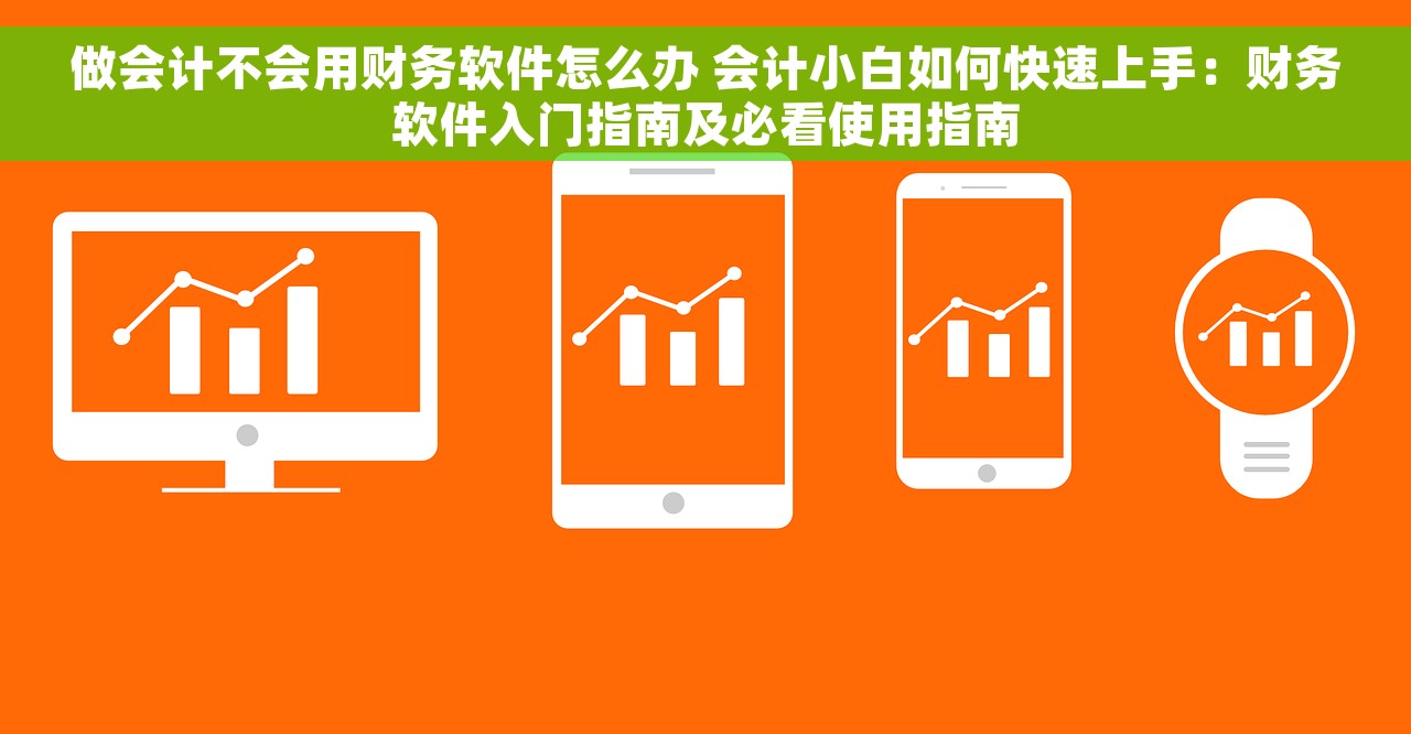 做会计不会用财务软件怎么办 会计小白如何快速上手：财务软件入门指南及必看使用指南