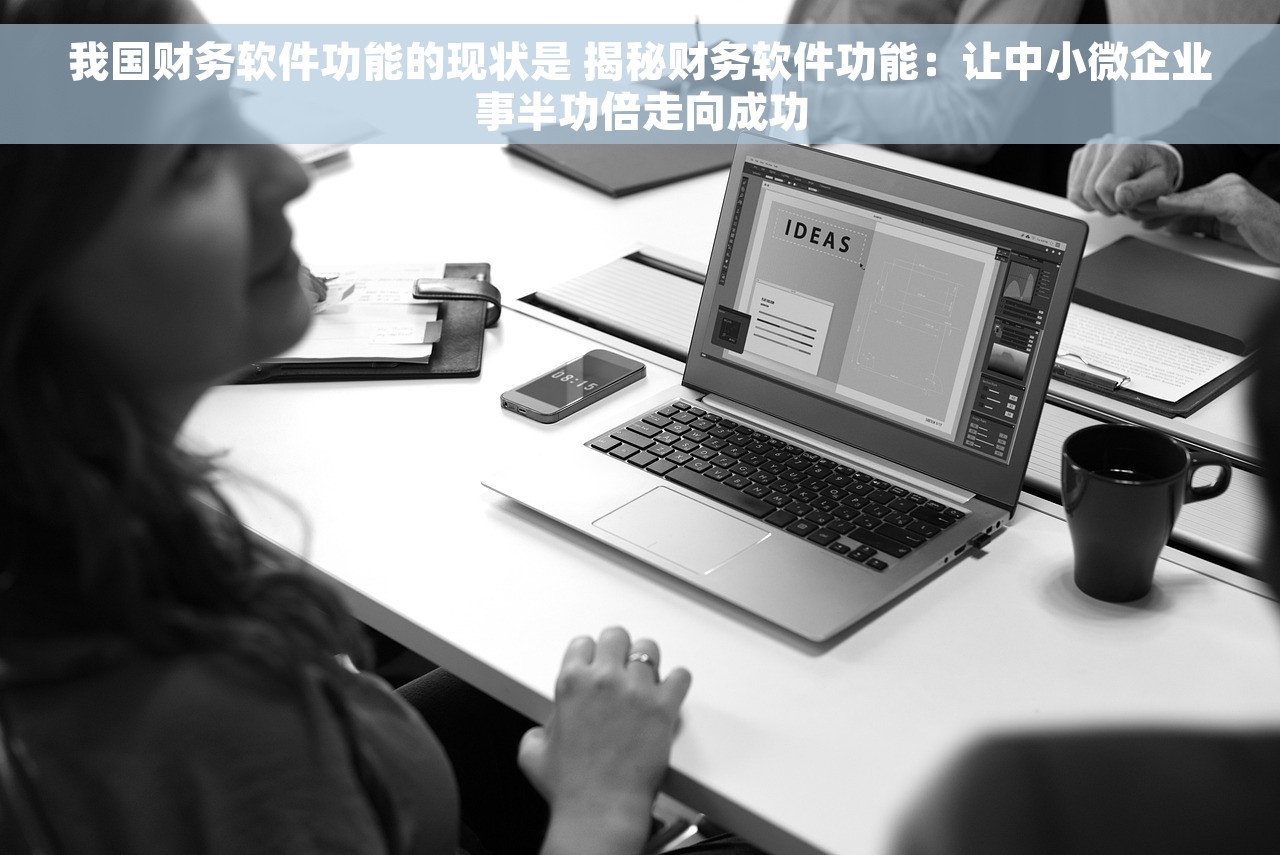我国财务软件功能的现状是 揭秘财务软件功能：让中小微企业事半功倍走向成功
