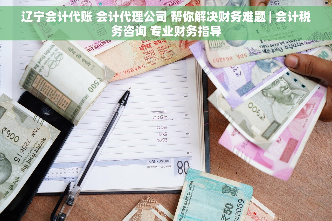 辽宁会计代账 会计代理公司 帮你解决财务难题 | 会计税务咨询 专业财务指导