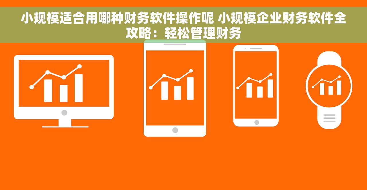 小规模适合用哪种财务软件操作呢 小规模企业财务软件全攻略：轻松管理财务