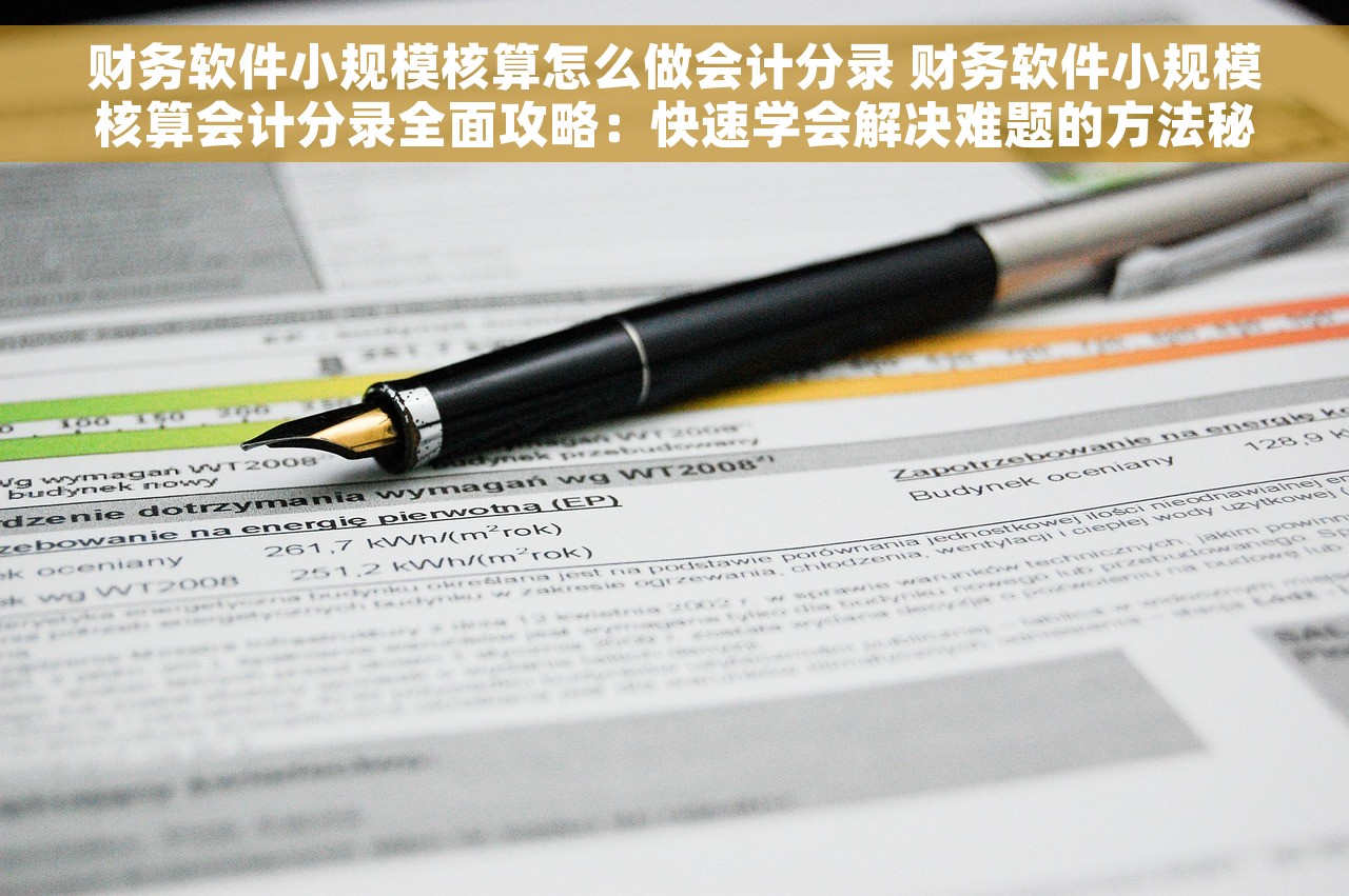 财务软件小规模核算怎么做会计分录 财务软件小规模核算会计分录全面攻略：快速学会解决难题的方法秘籍