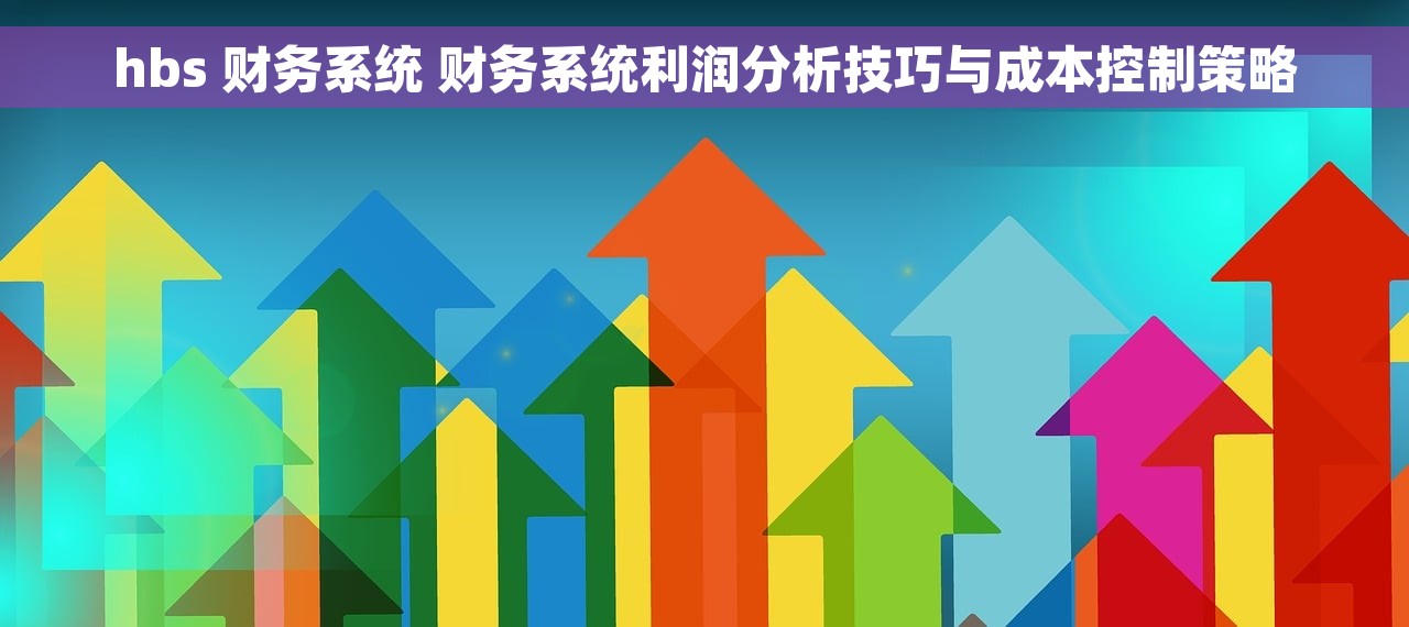 hbs 财务系统 财务系统利润分析技巧与成本控制策略