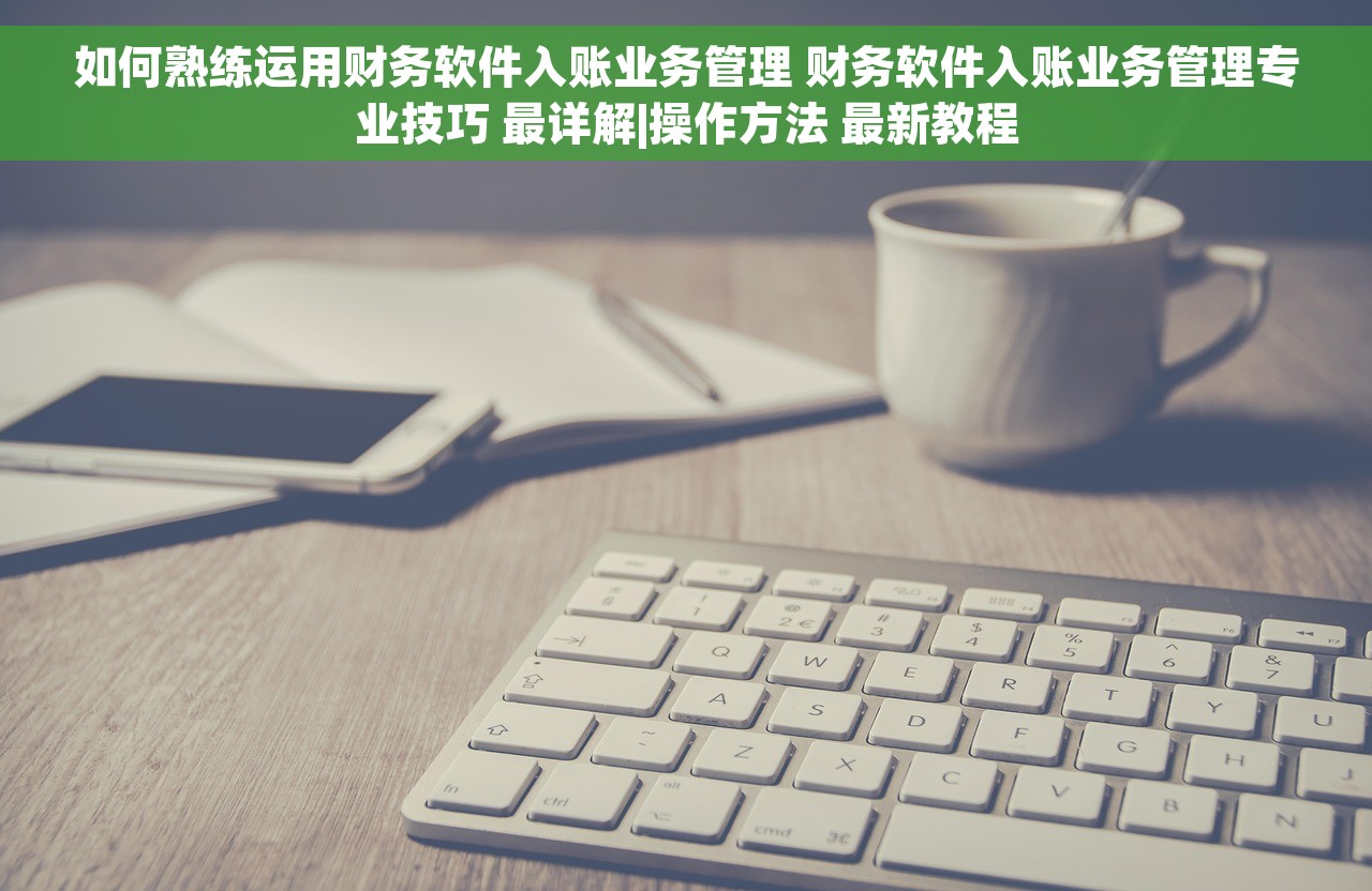 如何熟练运用财务软件入账业务管理 财务软件入账业务管理专业技巧 最详解|操作方法 最新教程