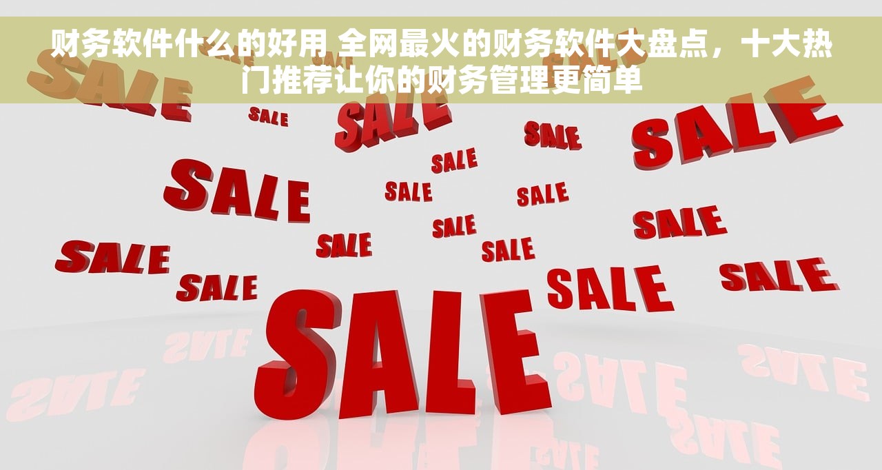 财务软件什么的好用 全网最火的财务软件大盘点，十大热门推荐让你的财务管理更简单