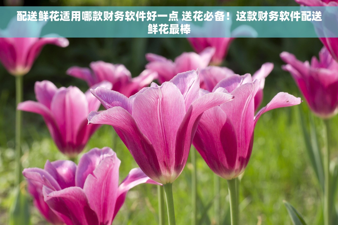 配送鲜花适用哪款财务软件好一点 送花必备！这款财务软件配送鲜花最棒