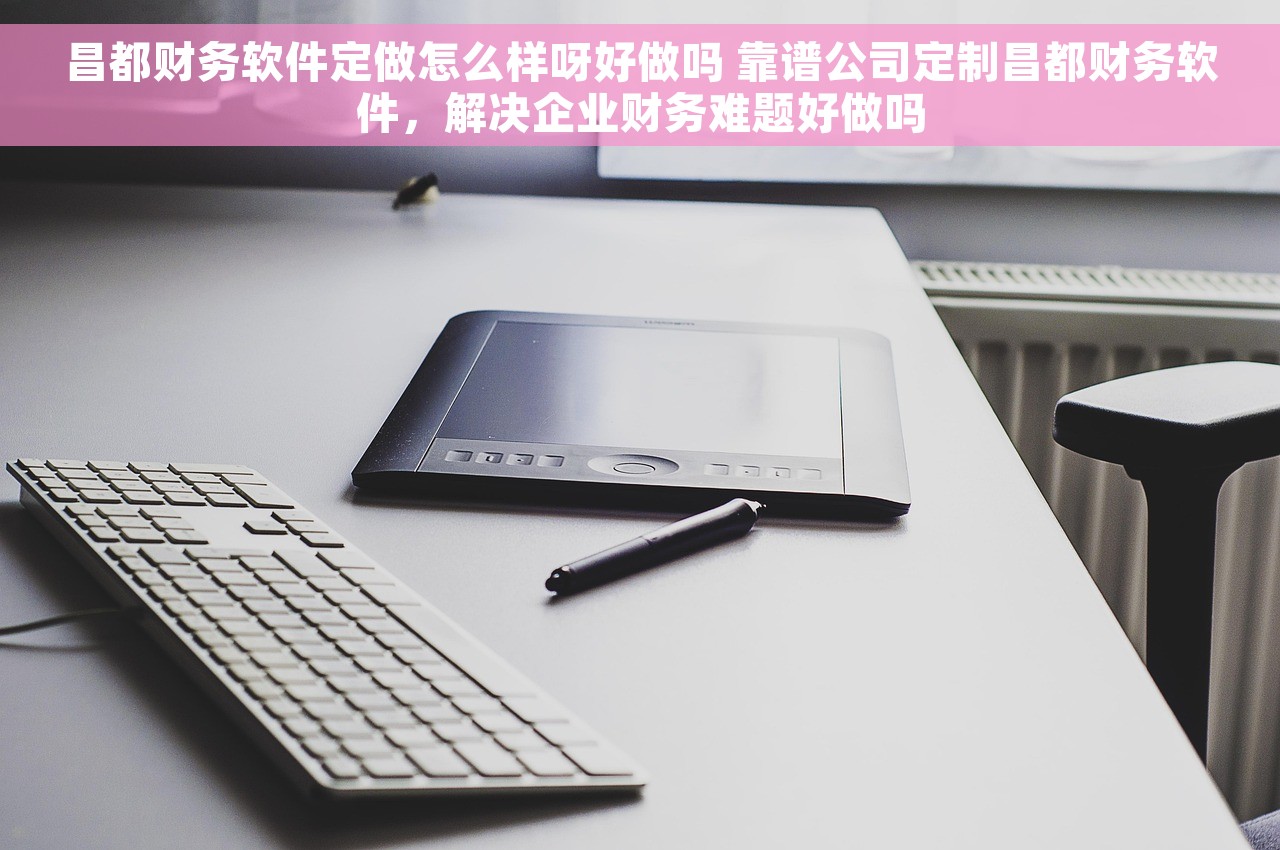 昌都财务软件定做怎么样呀好做吗 靠谱公司定制昌都财务软件，解决企业财务难题好做吗