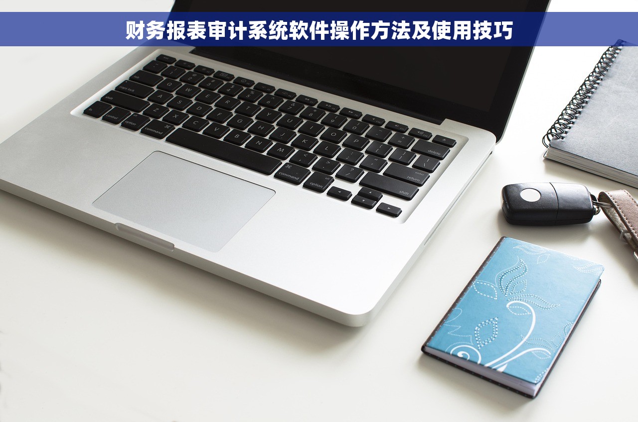 财务报表审计系统软件操作方法及使用技巧