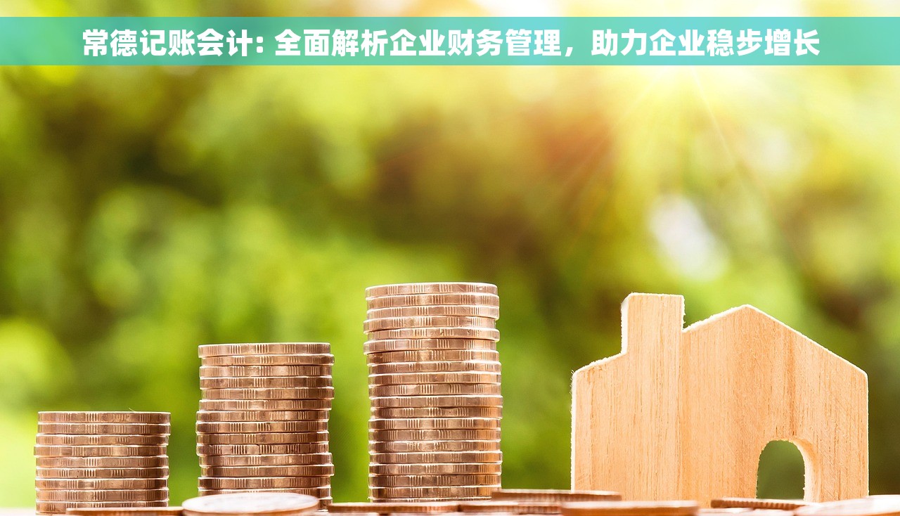 常德记账会计: 全面解析企业财务管理，助力企业稳步增长