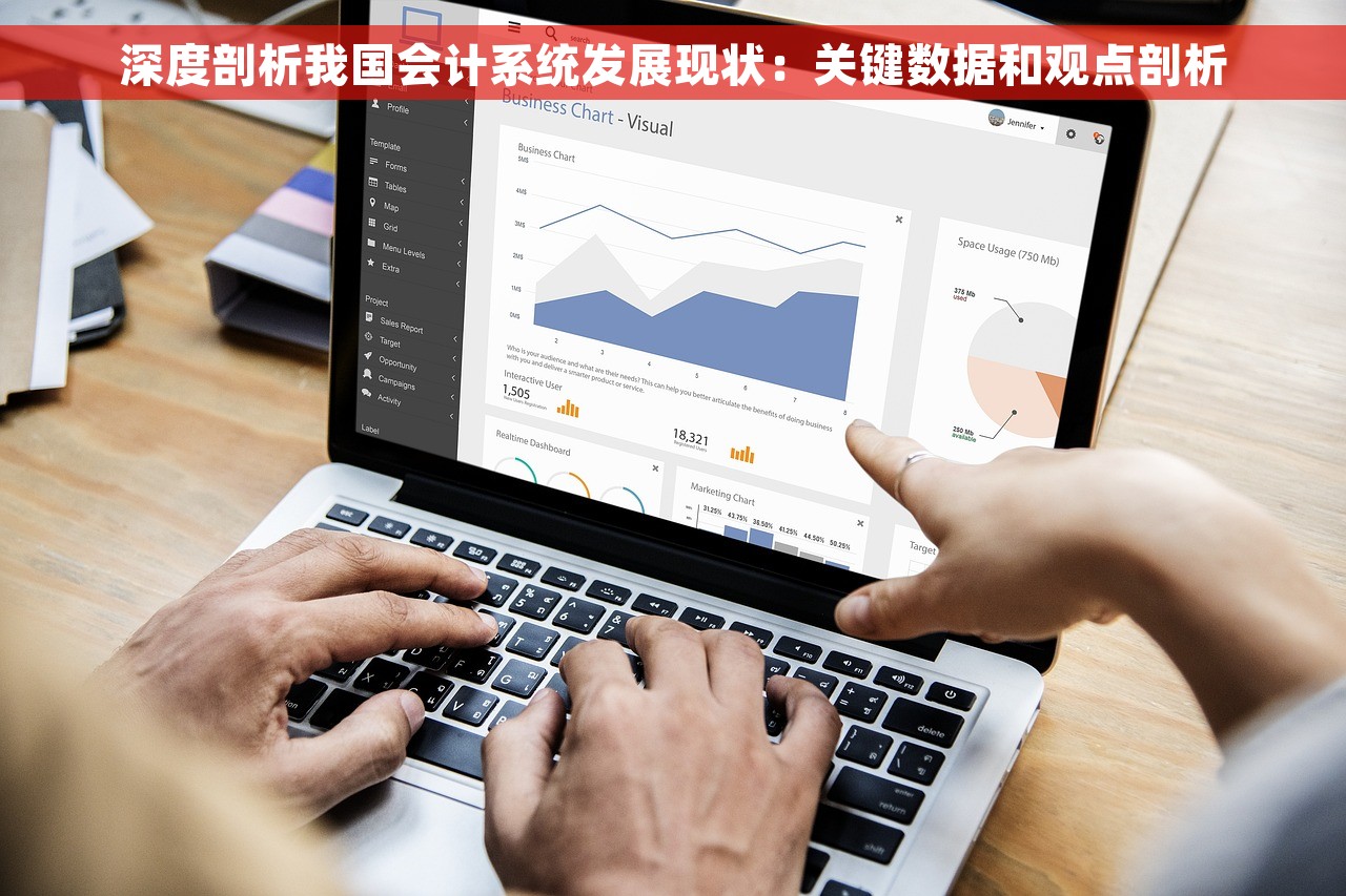 深度剖析我国会计系统发展现状：关键数据和观点剖析