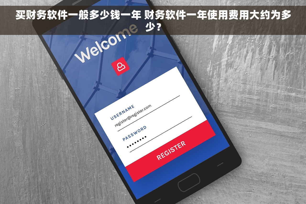 买财务软件一般多少钱一年 财务软件一年使用费用大约为多少？