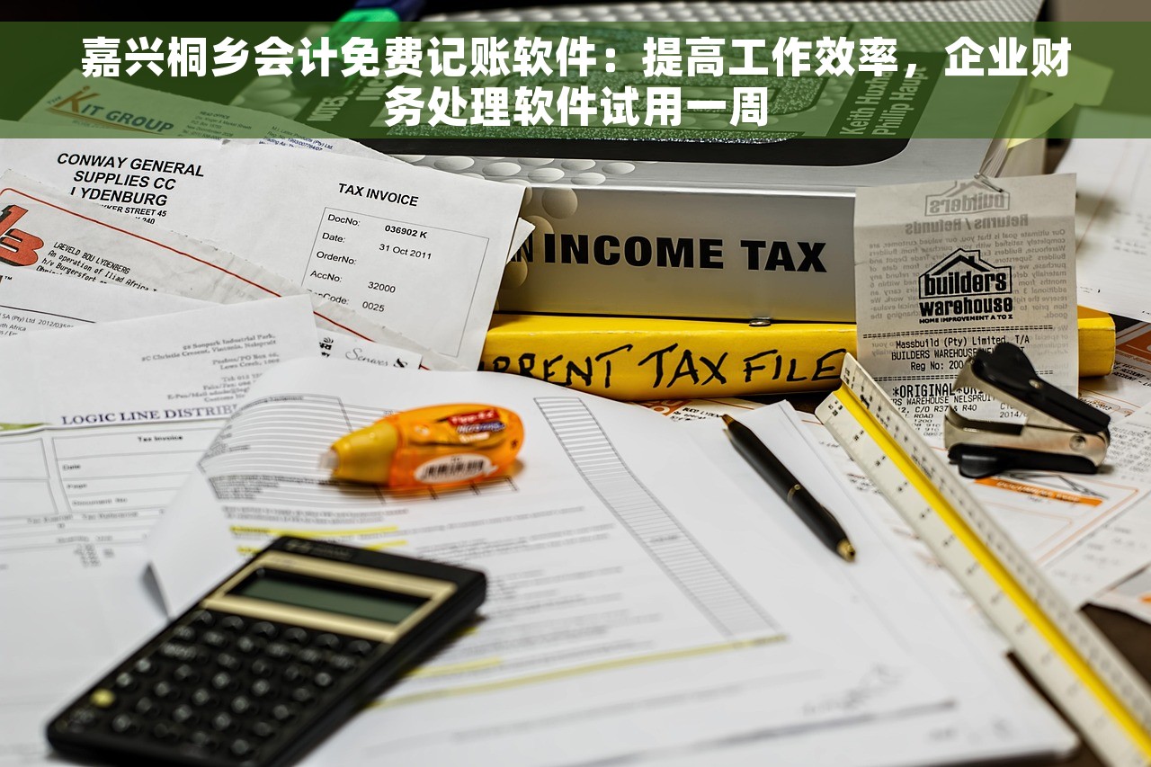 嘉兴桐乡会计免费记账软件：提高工作效率，企业财务处理软件试用一周