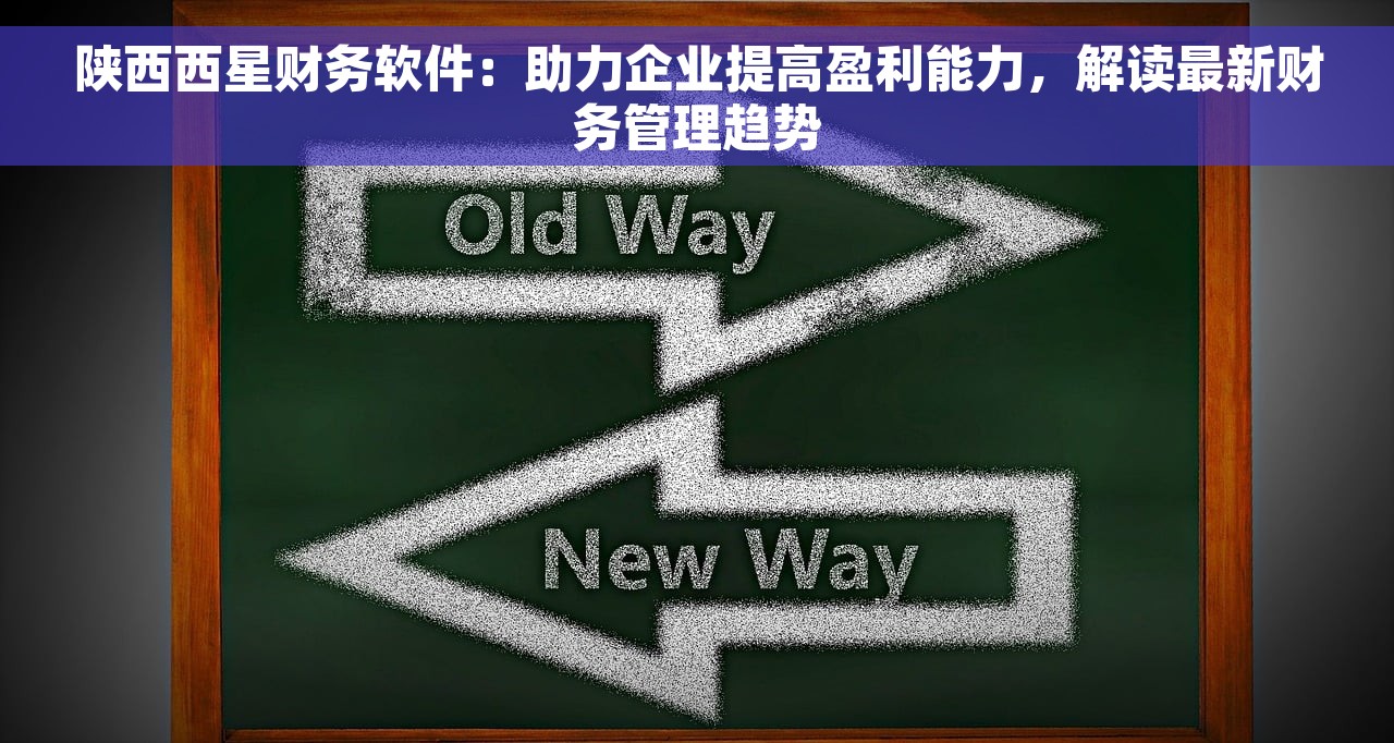 陕西西星财务软件：助力企业提高盈利能力，解读最新财务管理趋势