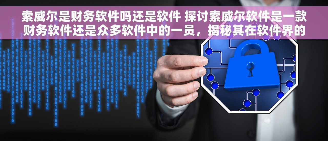 索威尔是财务软件吗还是软件 探讨索威尔软件是一款财务软件还是众多软件中的一员，揭秘其在软件界的新热点魅力