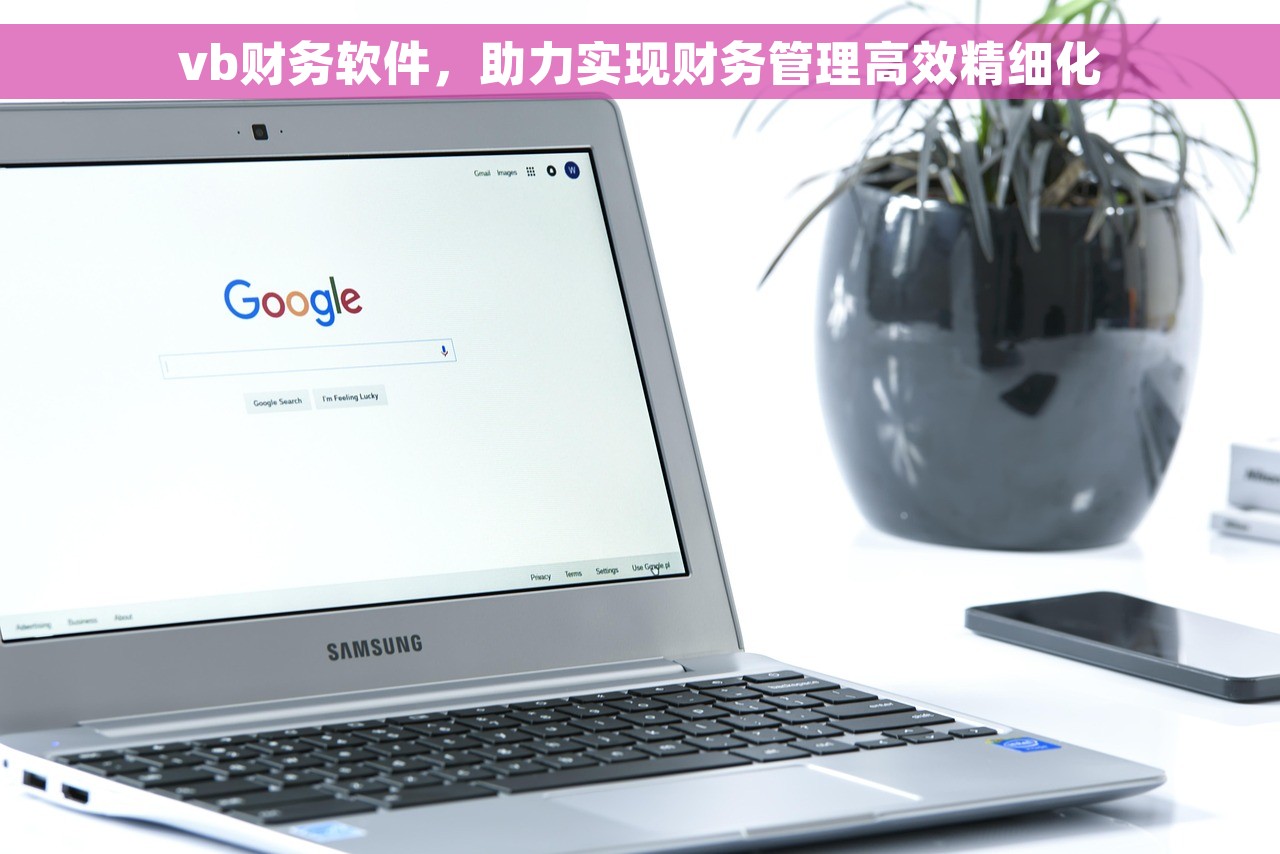 vb财务软件，助力实现财务管理高效精细化