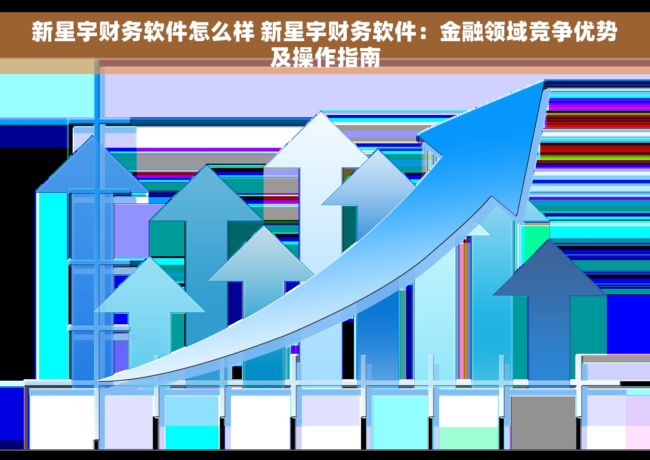 新星宇财务软件怎么样 新星宇财务软件：金融领域竞争优势及操作指南