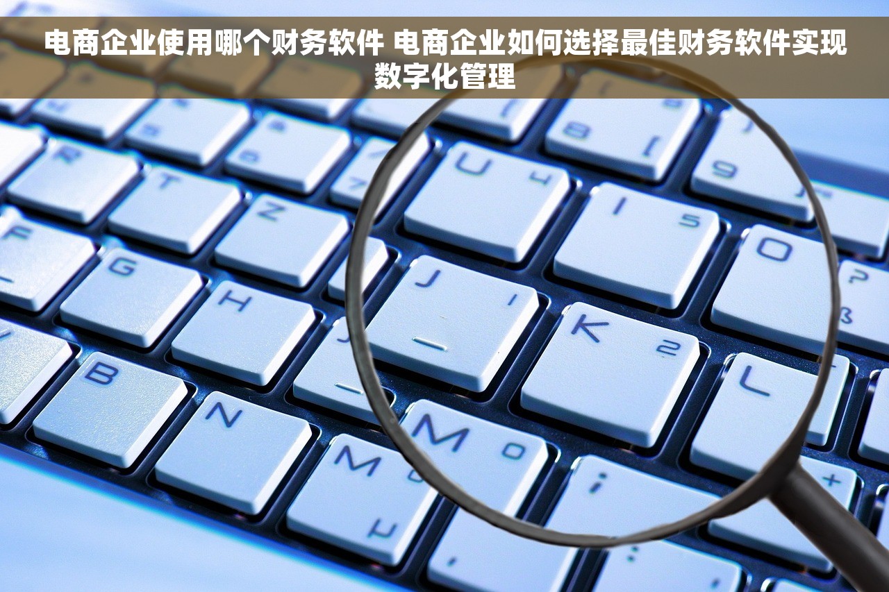 电商企业使用哪个财务软件 电商企业如何选择最佳财务软件实现数字化管理