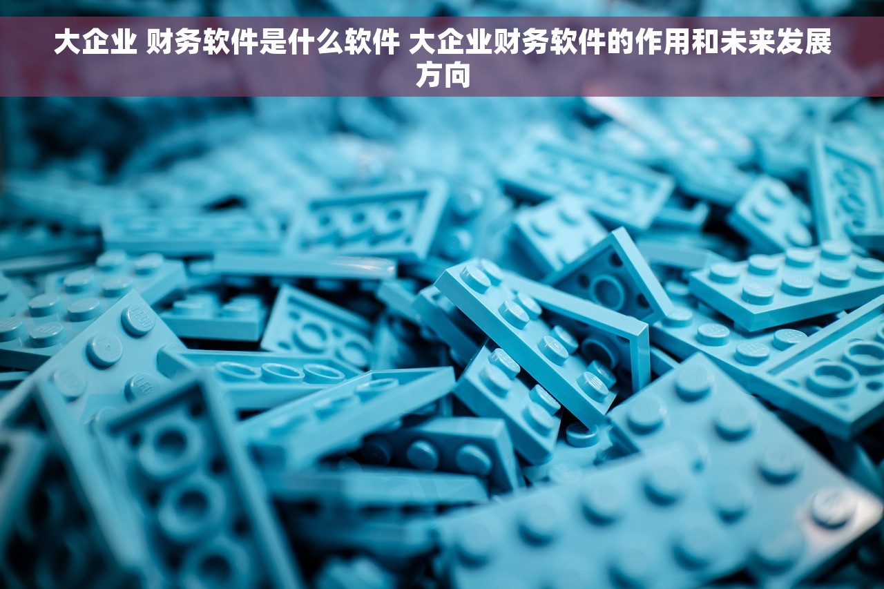 大企业 财务软件是什么软件 大企业财务软件的作用和未来发展方向