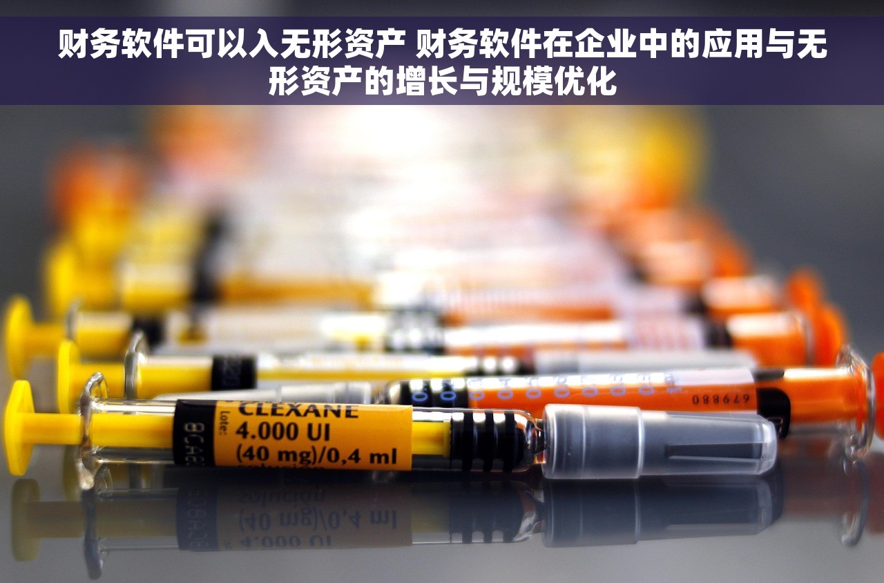 财务软件可以入无形资产 财务软件在企业中的应用与无形资产的增长与规模优化