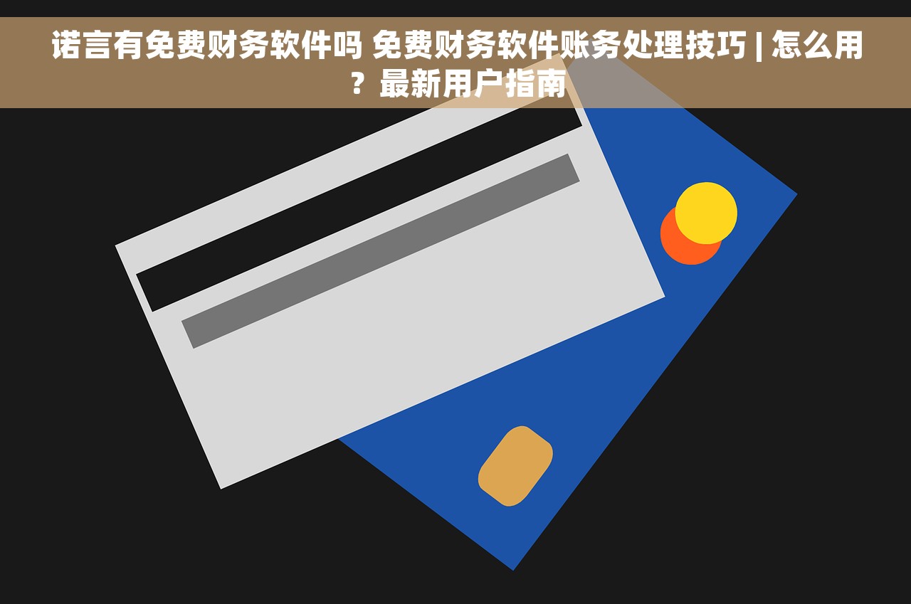 诺言有免费财务软件吗 免费财务软件账务处理技巧 | 怎么用？最新用户指南