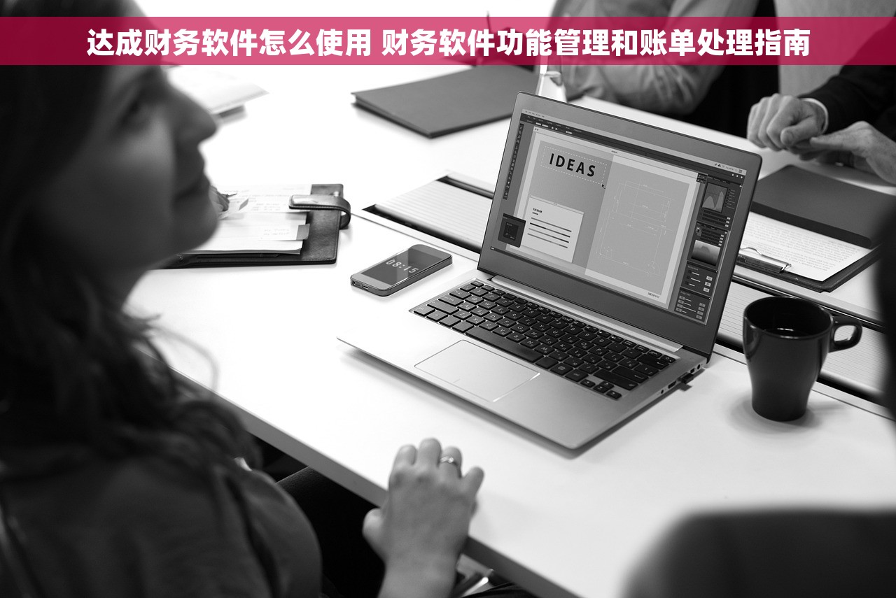达成财务软件怎么使用 财务软件功能管理和账单处理指南