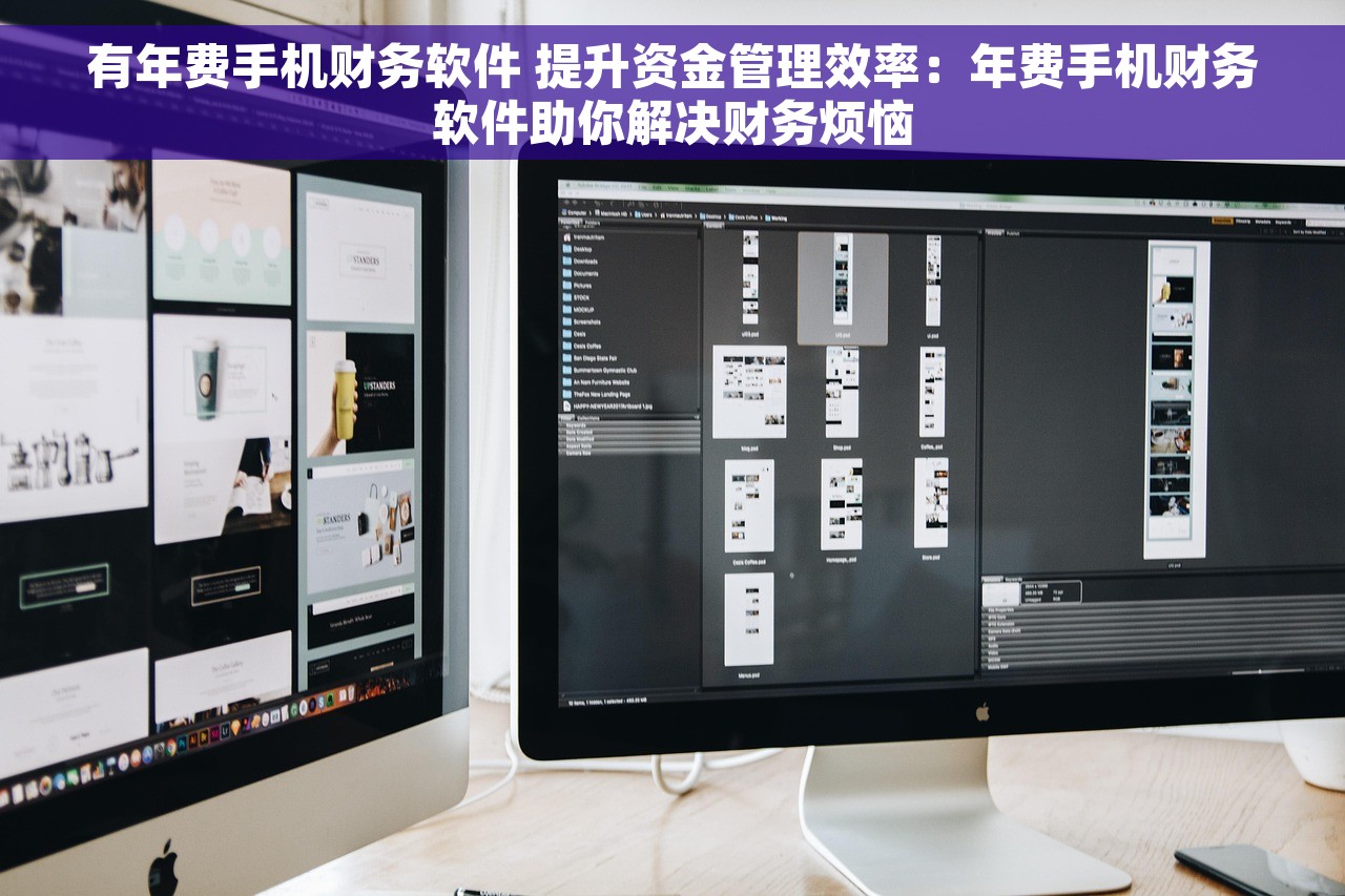 有年费手机财务软件 提升资金管理效率：年费手机财务软件助你解决财务烦恼