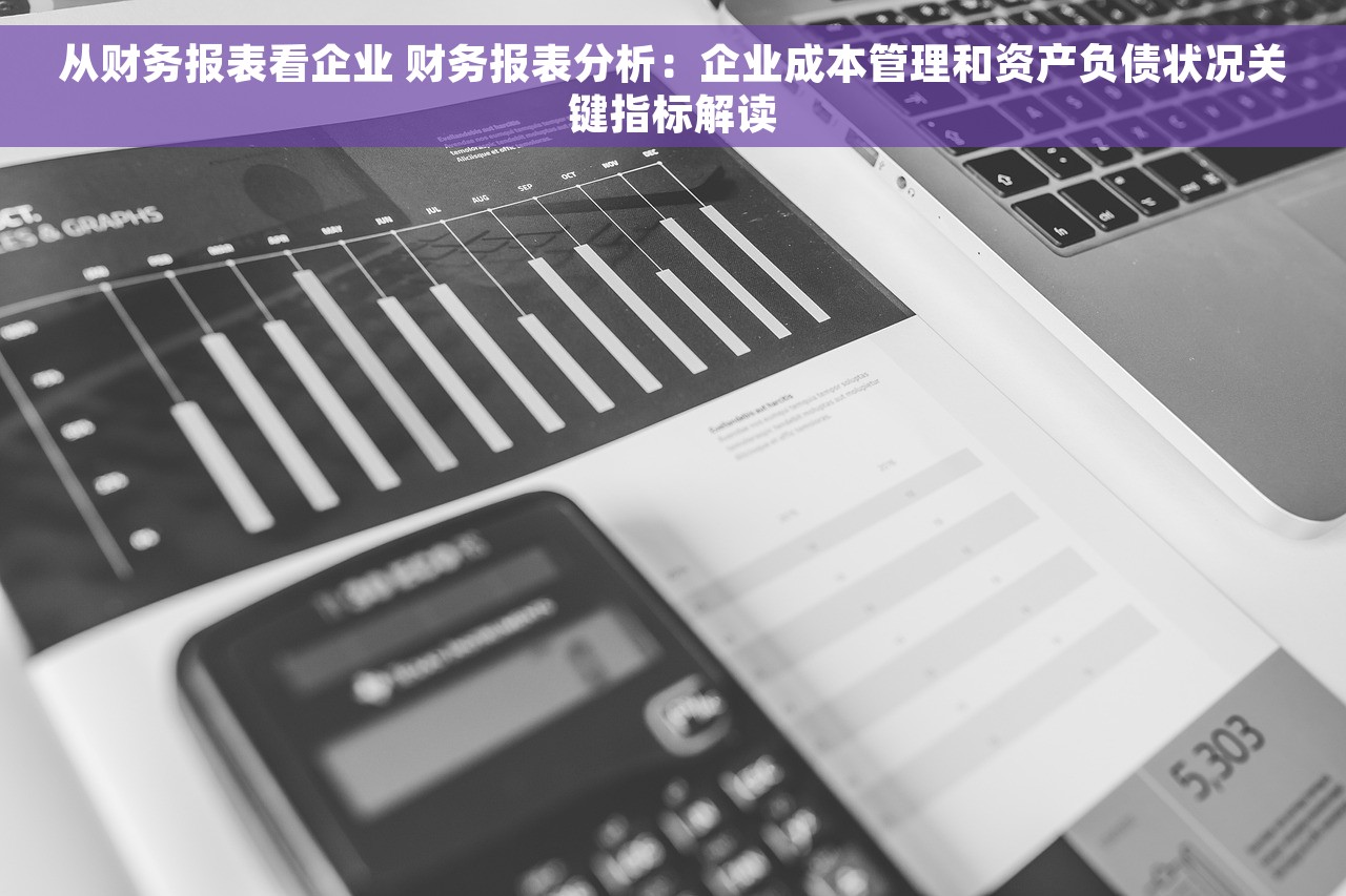 从财务报表看企业 财务报表分析：企业成本管理和资产负债状况关键指标解读