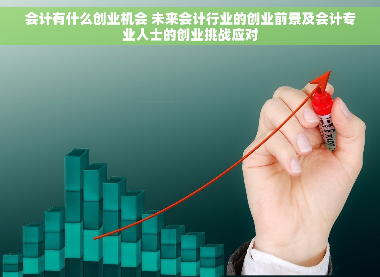 会计有什么创业机会 未来会计行业的创业前景及会计专业人士的创业挑战应对