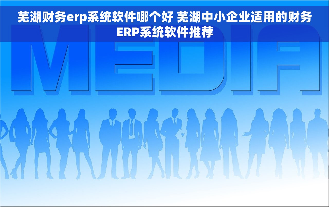 芜湖财务erp系统软件哪个好 芜湖中小企业适用的财务ERP系统软件推荐