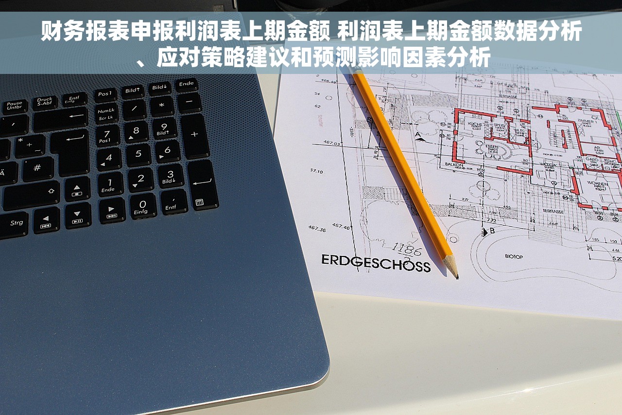 财务报表申报利润表上期金额 利润表上期金额数据分析、应对策略建议和预测影响因素分析