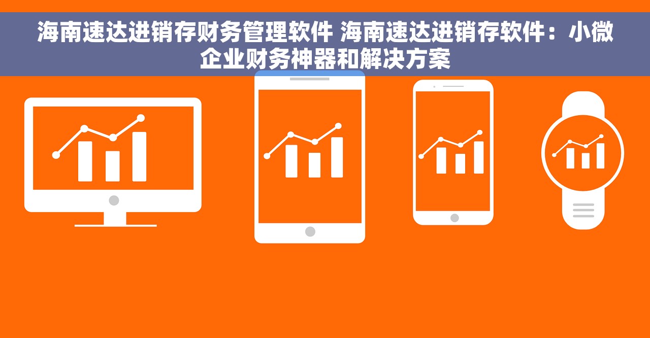 海南速达进销存财务管理软件 海南速达进销存软件：小微企业财务神器和解决方案