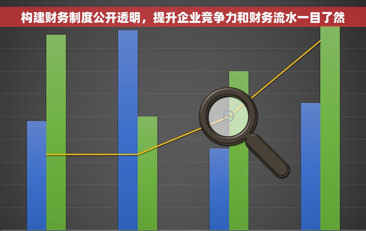 构建财务制度公开透明，提升企业竞争力和财务流水一目了然