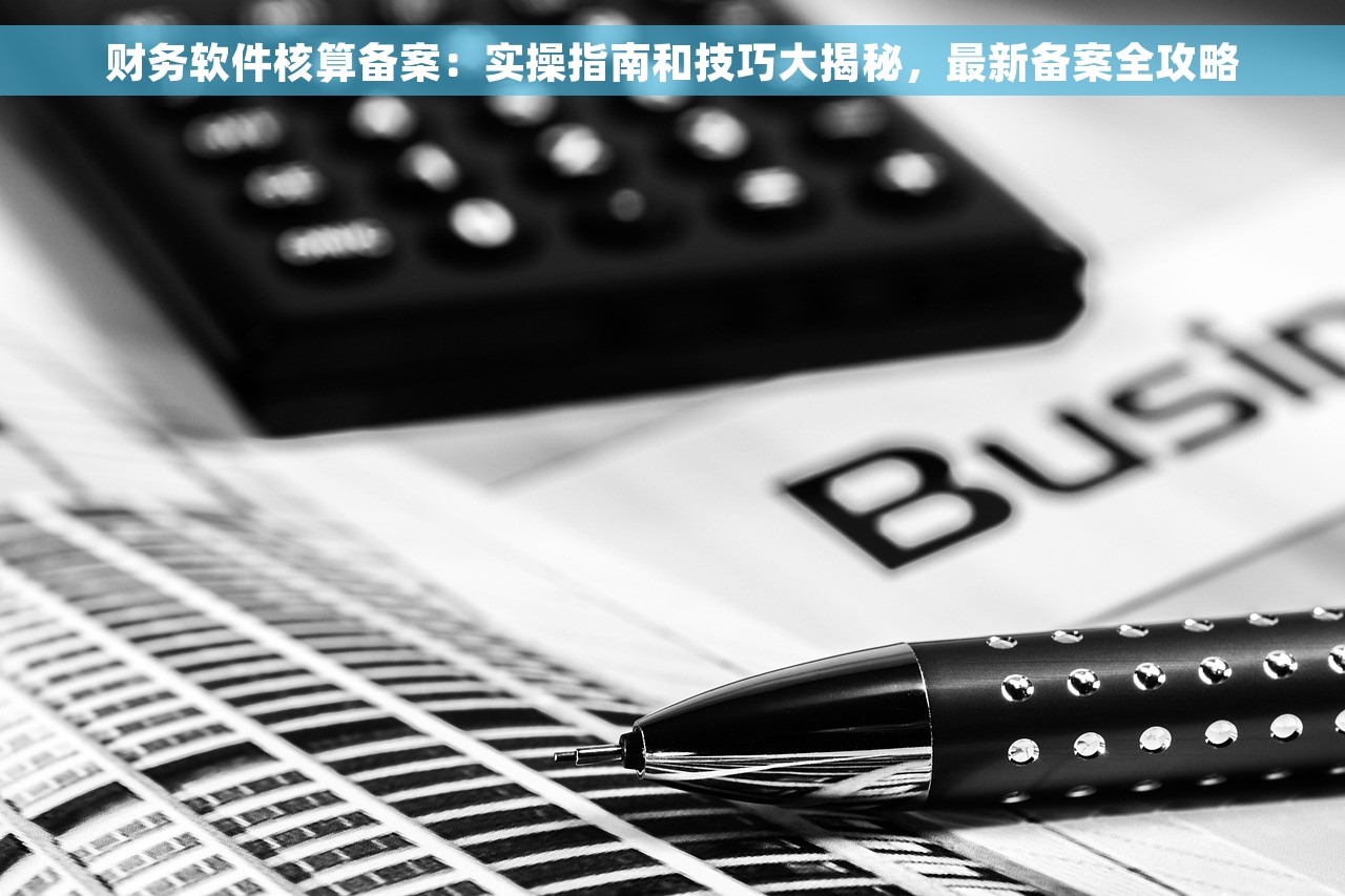 财务软件核算备案：实操指南和技巧大揭秘，最新备案全攻略