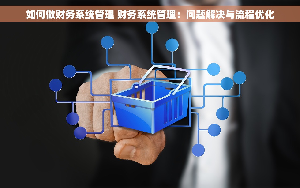 如何做财务系统管理 财务系统管理：问题解决与流程优化
