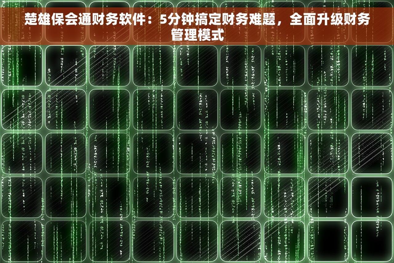 楚雄保会通财务软件：5分钟搞定财务难题，全面升级财务管理模式