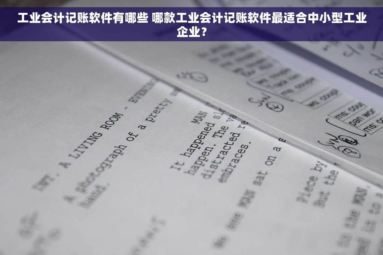 工业会计记账软件有哪些 哪款工业会计记账软件最适合中小型工业企业？