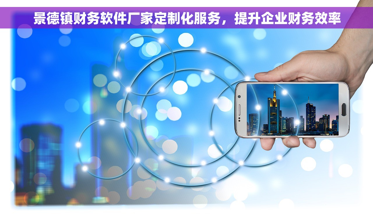 景德镇财务软件厂家定制化服务，提升企业财务效率