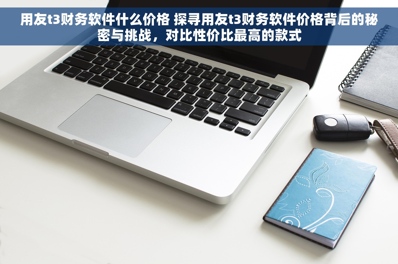 用友t3财务软件什么价格 探寻用友t3财务软件价格背后的秘密与挑战，对比性价比最高的款式